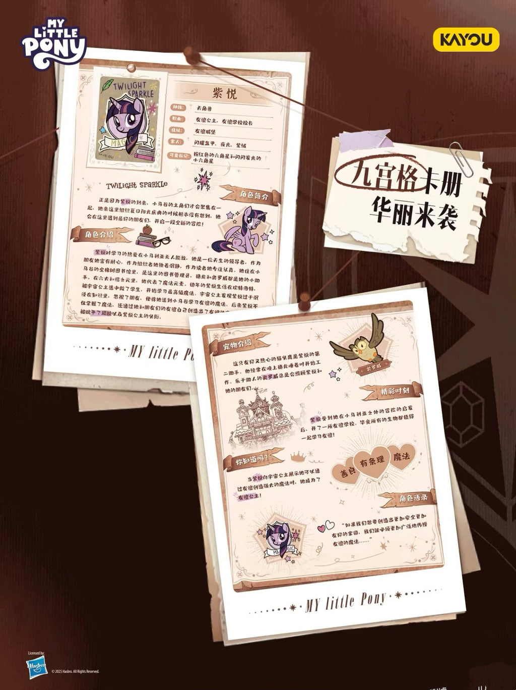 My Little Pony - Friendship Forever Card - Friendship Guidance Manual